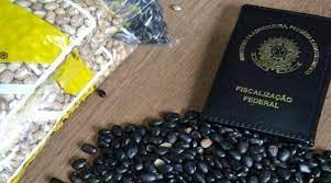 Força-tarefa apreende azeite falso e feijão com impurezas