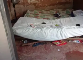 Filhos abandonados comiam junto com os gatos