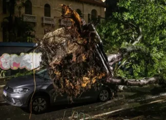 Marinha alerta para forte ventania e ressaca nos litorais de SP e RJ após o Natal