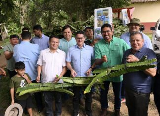 Prefeito vistoria serviço de mecanização agrícola nos ramais da Cooperativa e Pau-Rosa, na BR-174