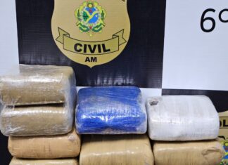 PC-AM apreende 16 tabletes de maconha do tipo skunk avaliados em R$ 240 mil