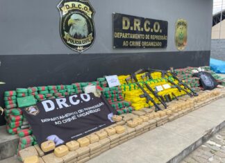 Polícia Civil do Amazonas apreendeu mais de 12 toneladas de drogas em 2023, avaliadas em R$ 167 milhões