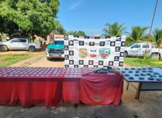 Em Pauini, Polícias Civil e Militar deflagram Operação Deserto 2 e apreendem drogas, armas de fogo e munições