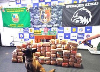 Policiais apreendem 265 quilos de maconha e uma lancha rápida em Coari