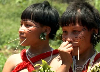 Após fracasso, Governo Lula vai reforçar medidas de proteção ao povo Yanomami