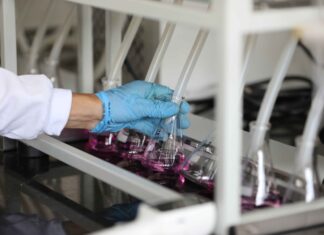 Fapeam divulga resultado final de editais para formação de recursos humanos e mobilidade técnico-científica