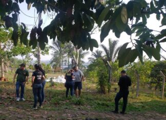 Crimes contra o meio ambiente: PC-AM apresenta balanço das operações realizada no segundo semestre de 2023