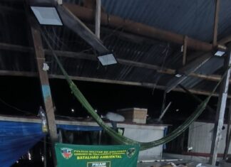 PMAM apreende mais de uma tonelada de pescado ilegal na feira da Panair