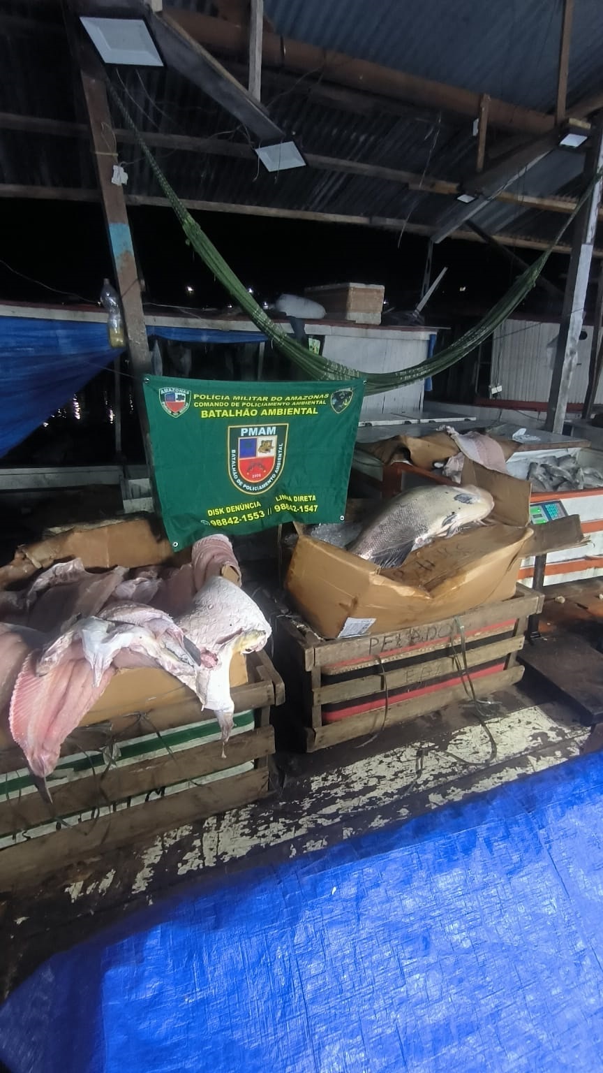 PMAM_APREENDE MAIS DE UMA TONELADA DE PESCADO ILEGAL NA FEIRA DA PANAIR_CPAMB_FOTO DIVULGAÇÃO PMAM