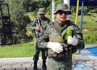 Batalhão Ambiental da PMAM resgata papagaio-verdadeiro em empresa de pneus