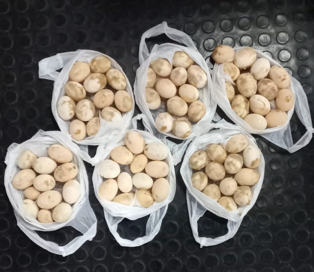 SSP_AM_FOTOS_BASE_ARPÃO (1)