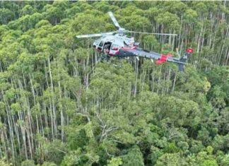 Tripulantes de helicóptero achado em mata estão mortos, diz polícia Segundo a PM, foram encontrados quatro corpos no local; as buscas pela aeronave estavam ocorrendo há 12 dias