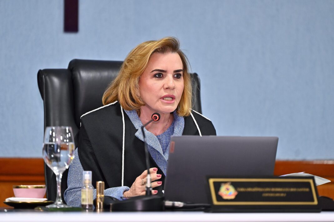 Conselheira Yara - foto Joel Arthus