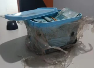 Aposentado encontra R$ 600 mil enterrados no jardim de casa