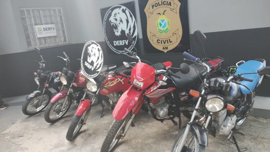 PCAM_OPERAÇÃO POLICIAL DERFV_FOTO DIVULGAÇÃO (2)