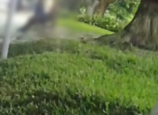 Casal é flagrado fazendo sexo na Praia na frente de crianças, veja o vídeo (18+)