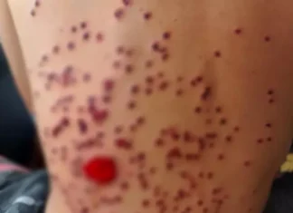 VÍDEO: Guardas entram em festa de caminhoneiros e atiram em participantes no PR