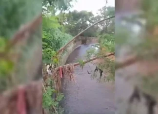 Homem pula em córrego para escapar de assalto e não consegue sair