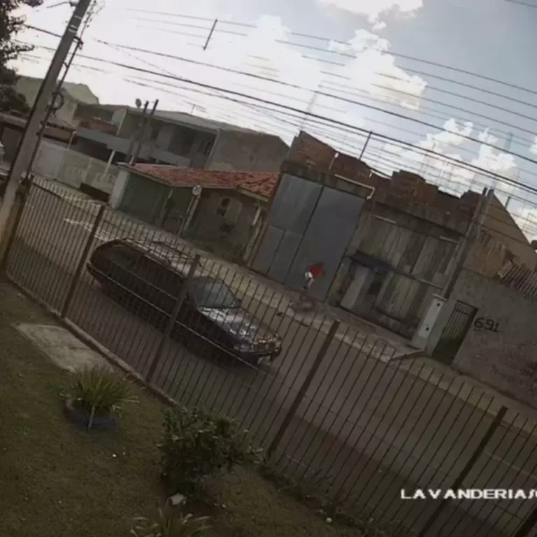 morre-pisoteado-imagens-sitio-cercado-3-768x768