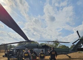 PF prende 22 pessoas por porte ilegal de arma de fogo e ocupação de terras da União em RR