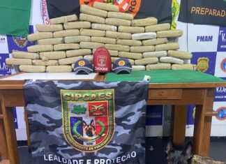 Base Arpão I: policiais apreendem 50 quilos de skunk durante abordagem a embarcação em Coari