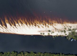 Evento científico, apoiado pela Fapeam, populariza conhecimentos sobre peixes da região
