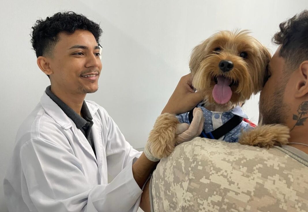 HVet - Foto M. Rocha