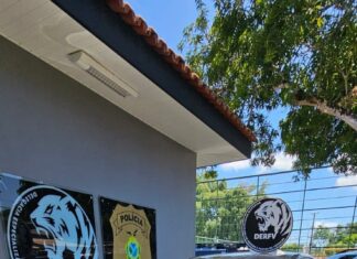 Polícia Civil prende homem por adulteração de veículo e por receptação de carro luxuoso