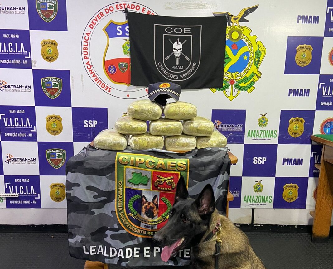 Foto: Divulgação / SSP-AM