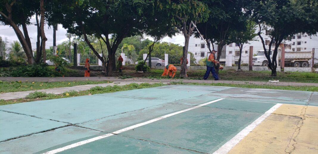 Serviço de poda no CSU do Parque 10 1