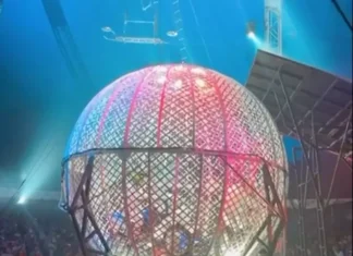 VÍDEO: Acidente em globo da morte assusta espectadores em circo de ator famoso