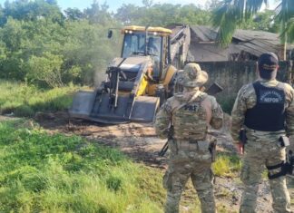 PF deflagra operação contra ocupação ilegal em áreas de proteção ambiental