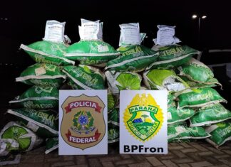 PF e BPFron apreendem 500kg de agrotóxicos contrabandeados