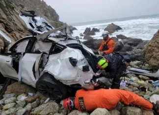 Após transtorno depressivo grave, homem joga seu Tesla com a familia em penhasco e por milagre todos sobrevivem