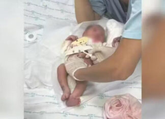 Sem-teto salva vida de bebê abandonada em caixa de papelão em SP