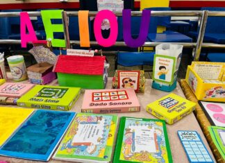 Em Manacapuru, escola estadual desenvolve 3ª edição do projeto ‘Letramento Literário’