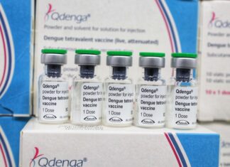 Vacinação contra a dengue volta a ser administrada para crianças de 10 a 14 anos no Amazonas