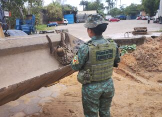 Polícia Militar do Amazonas resgata animais silvestres em Manaus