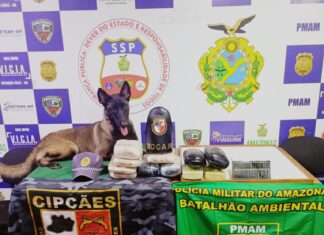 SSP-AM apreende drogas, armas e munições avaliadas em mais de R$ 700 mil