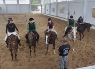 Núcleo de Equoterapia da PMAM atende mais de 160 pessoas com deficiência