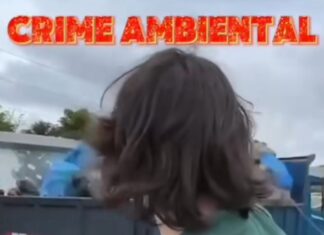 URGENTE: Prefeitura denuncia deputado Amom Mandel à Polícia Federal por prática de crime ambiental