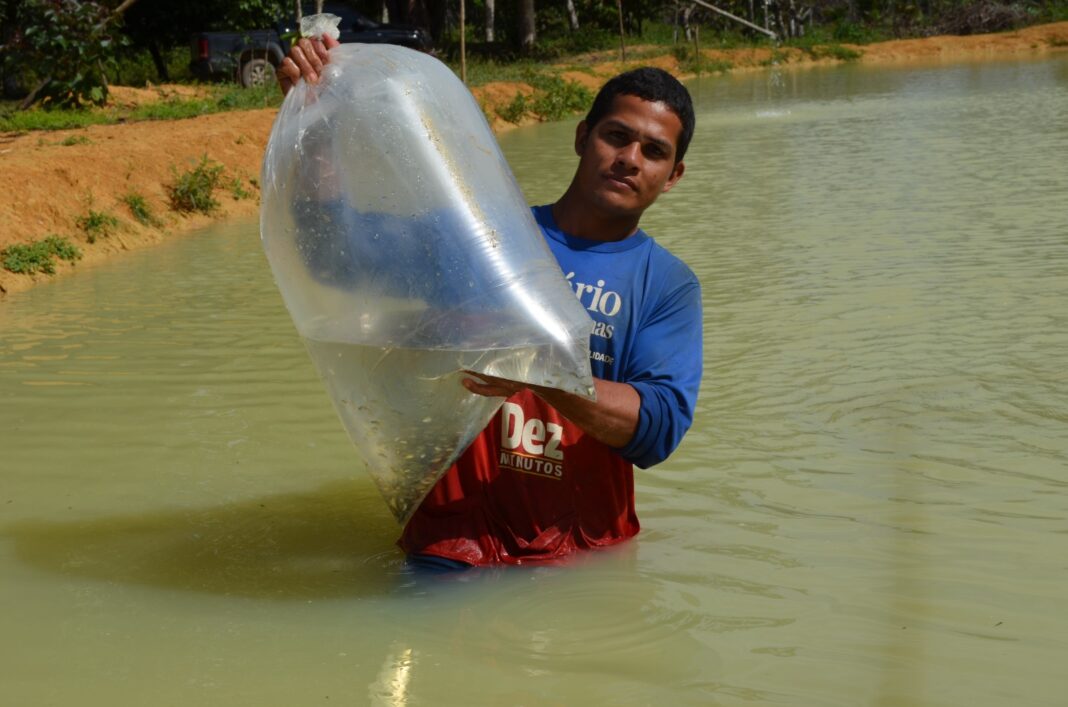 Sepa Sepror Piscicultura _foto_Isaac Maia 2