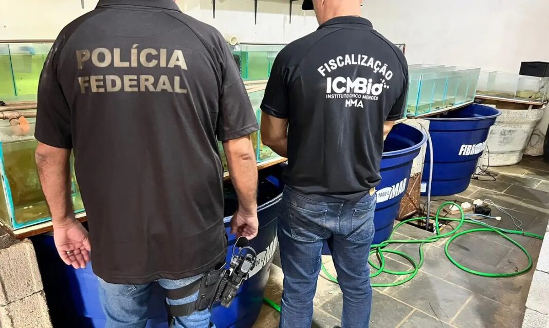 Foto: Polícia Federal / RJ