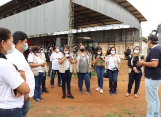 Ciama comemora 29 anos dedicados a projetos de desenvolvimento para o Amazonas