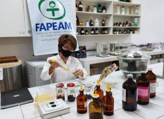 Pesquisa apoiada pelo Governo do Amazonas realiza avaliação química e biológica de plantas da Região Amazônica