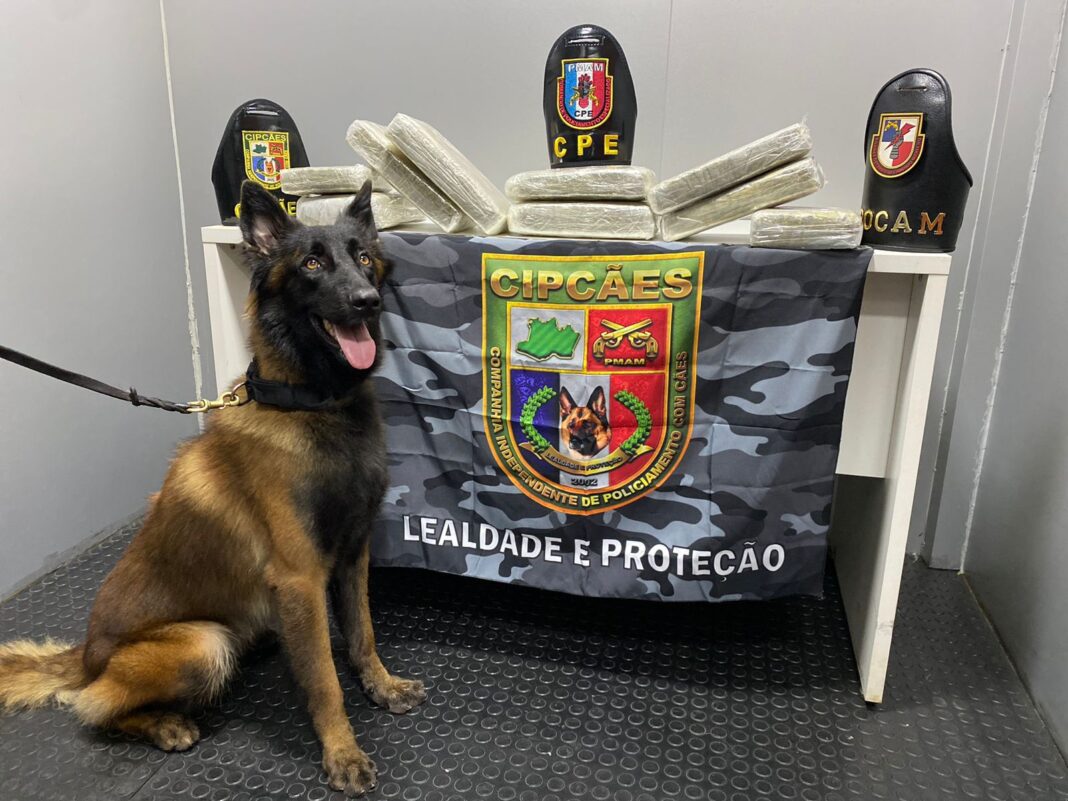 SSP-AM_BASE_ARPÃO_FOTO_DIVULGAÇÃO_SSP_AM