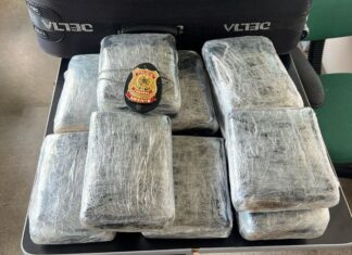Polícia Federal apreende 15kg de drogas no Amazonas