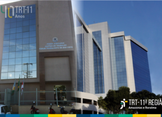 TRT 11ª Região (AM/RR) condena empresa médica por chamar funcionária de “barata tonta” e “preguiçosa”