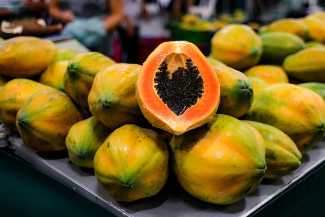 ADS - Feiras da ADS terão três edições adicionais durante a Semana do Meio Ambiente - Foto Divulgação ADS