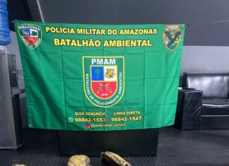 Base Arpão 2: PMAM prende homem procurado por homicídio praticando crime ambiental na região de Barcelos